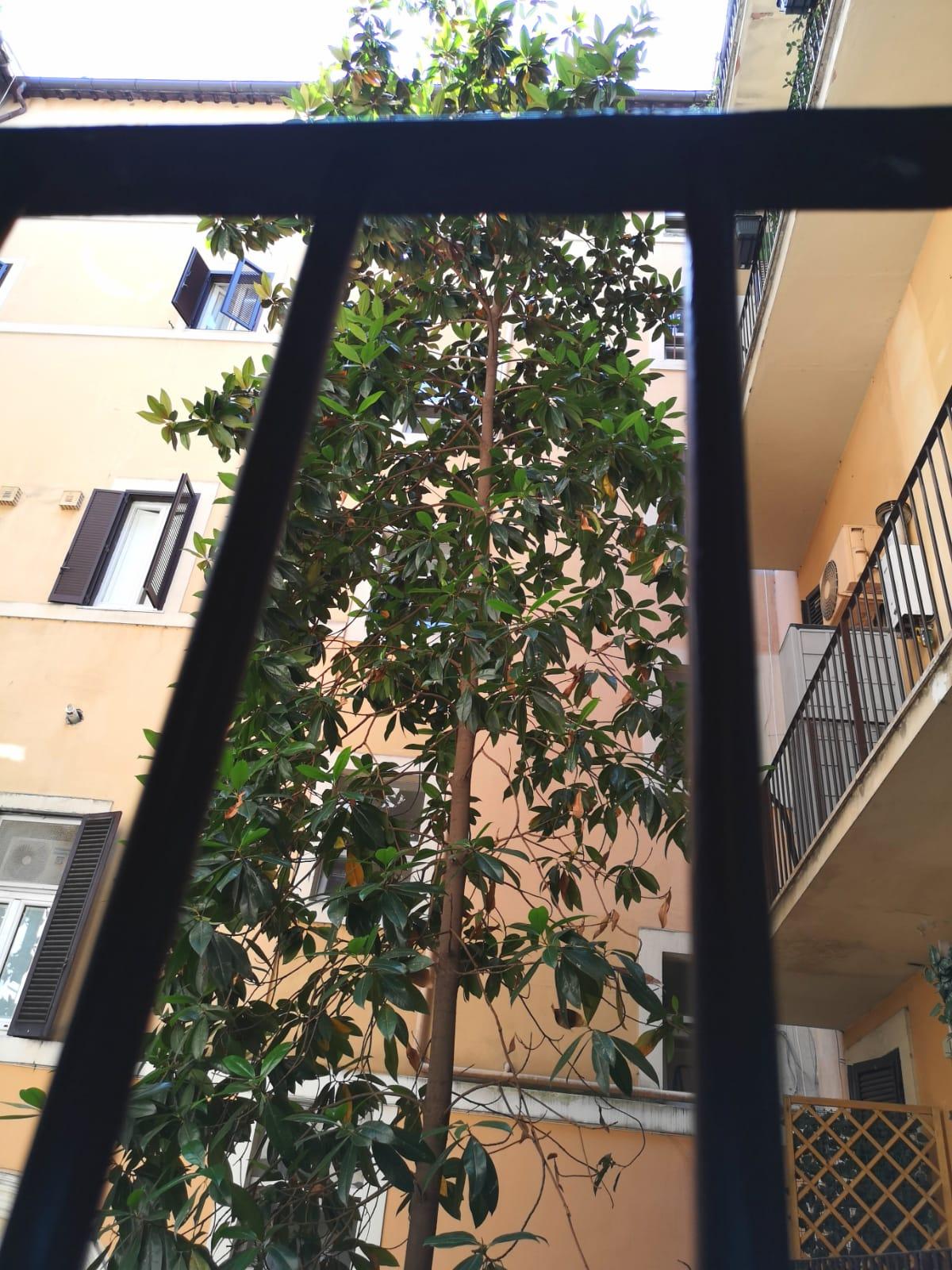 Dulcis In Pantheon Hotel Rome Luaran gambar